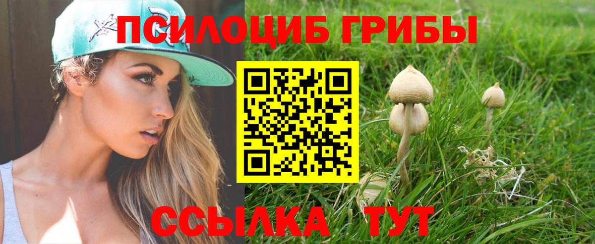Псилоцибиновые грибы ЛСД  Вход с VPN  Богородицк 