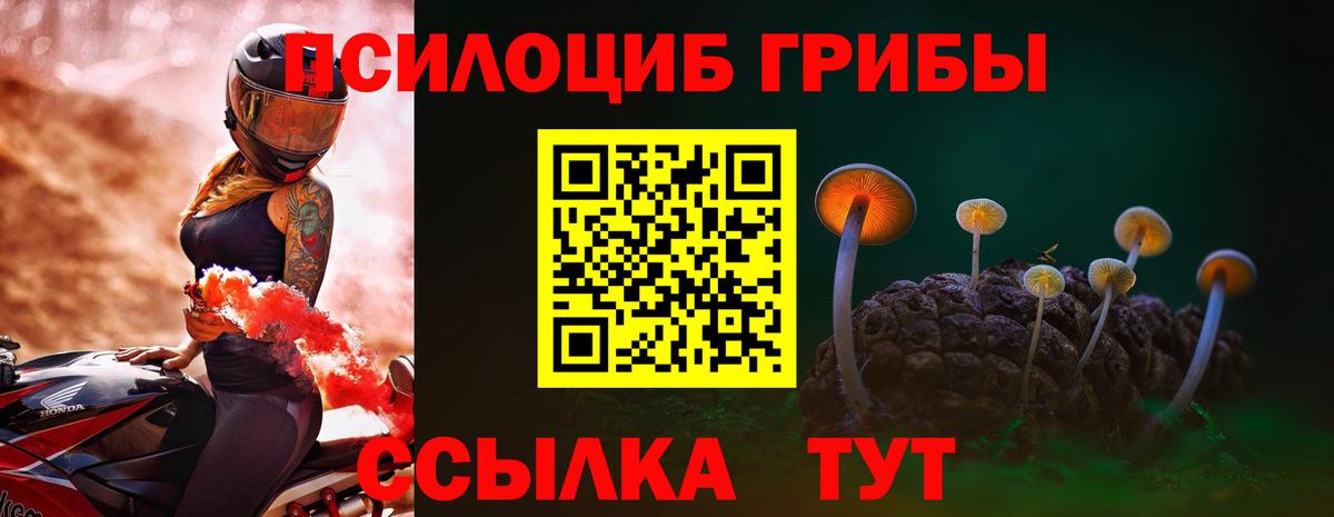 Псилоцибиновые грибы мицелий Богородицк